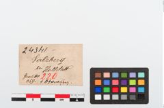 Etiketten zu Bronzebandohrring (NHMW-PRAE-024341)